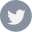 twitter (1)